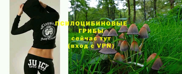 MDMA Няндома