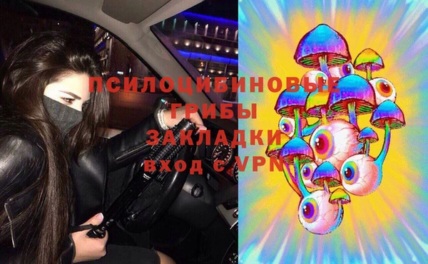 бутират Алексин