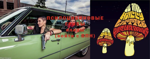 ГАЛЛЮЦИНОГЕННЫЕ ГРИБЫ Абинск