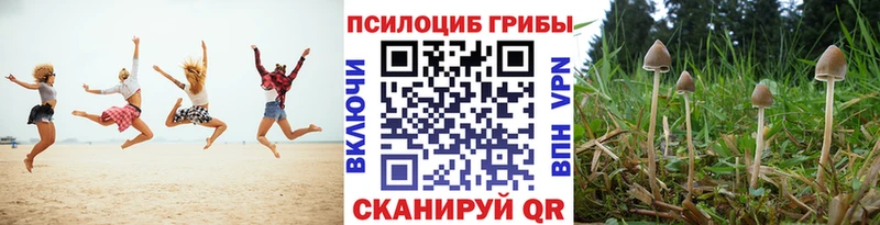 Галлюциногенные грибы мухоморы  ссылка на мегу ONION  Анапа 
